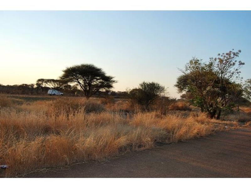 A view of the vacant commercial land featuring road frontage, natural vegetation, and established trees.
