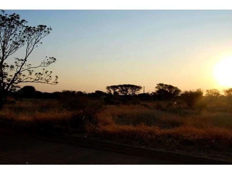A scenic view of the vacant commercial land featuring natural grassland and native trees at sunset.