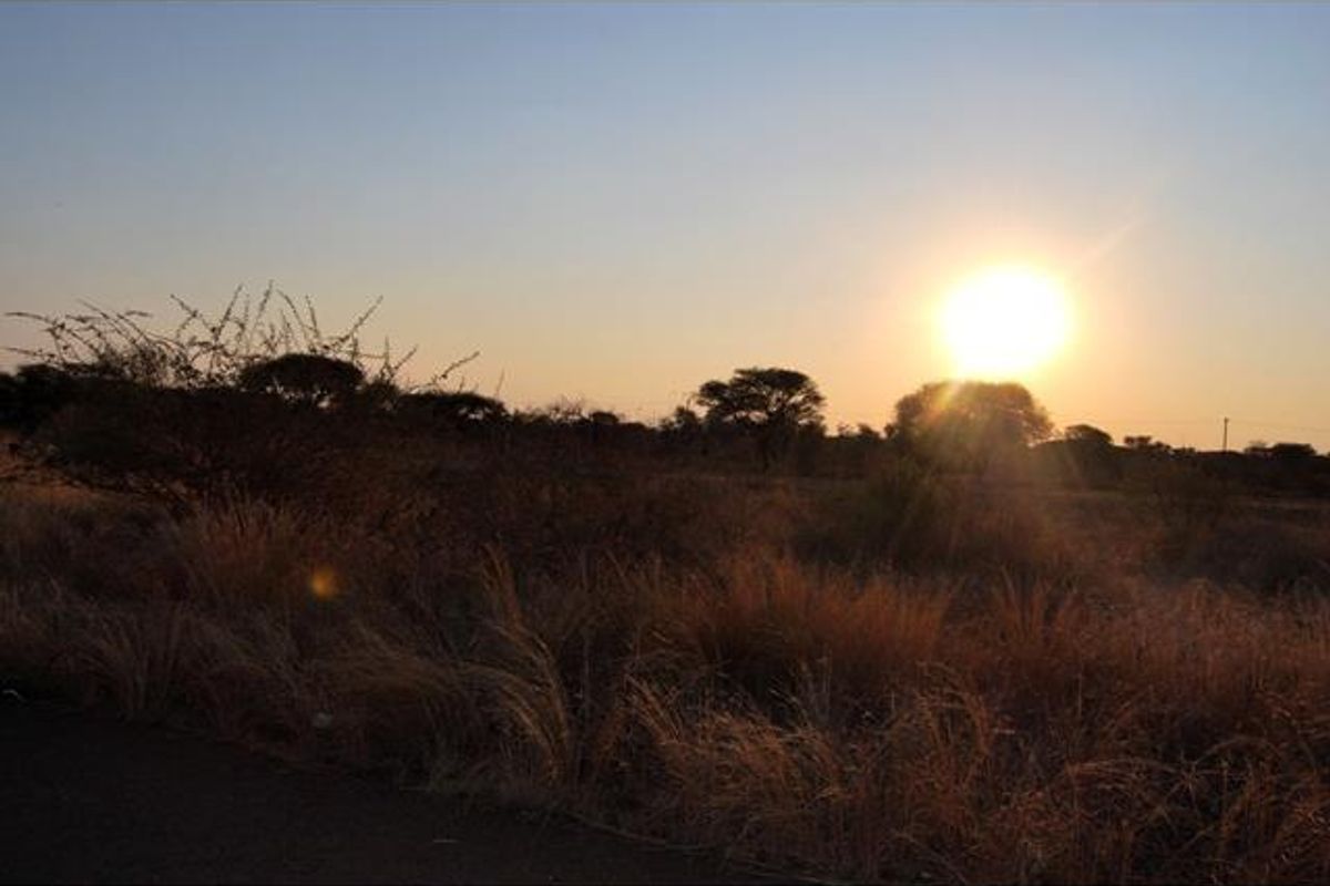 A scenic view of the vacant commercial land at sunset, featuring natural vegetation and open terrain.