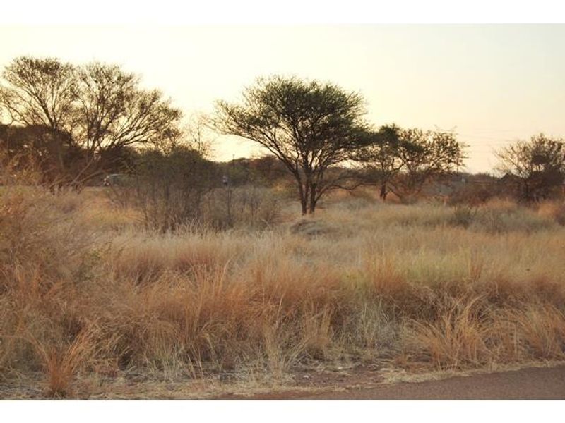 A view of the vacant commercial land featuring natural vegetation and mature trees.