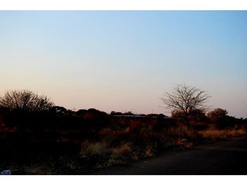 A view of an undeveloped commercial land plot adjacent to an asphalt road, featuring natural vegetation and open space.