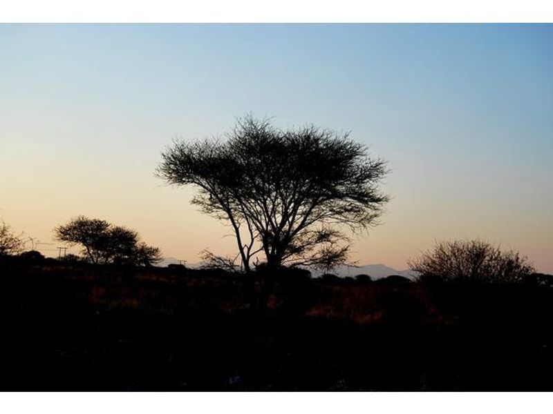 A scenic view of the vacant land featuring natural vegetation and trees against a sunset sky.