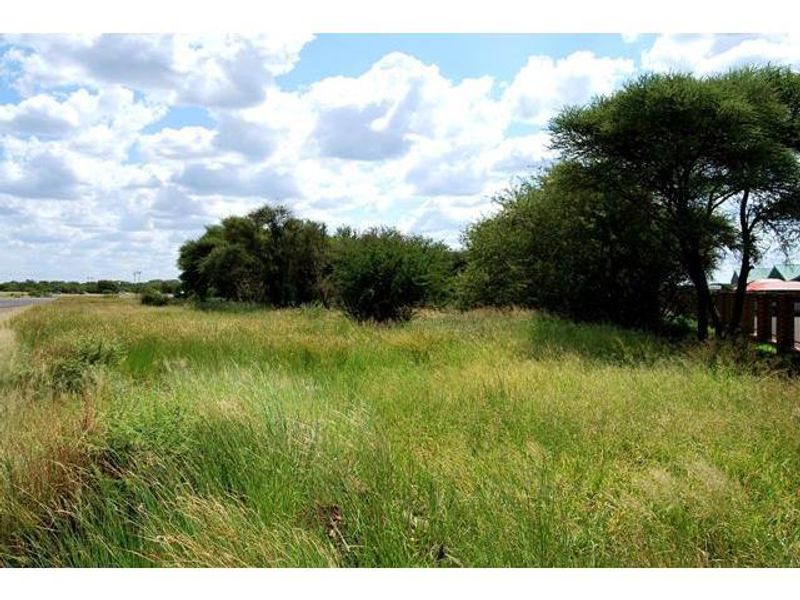 A view of a vacant residential plot featuring natural grass cover and established trees, offering a blank canvas for future development.