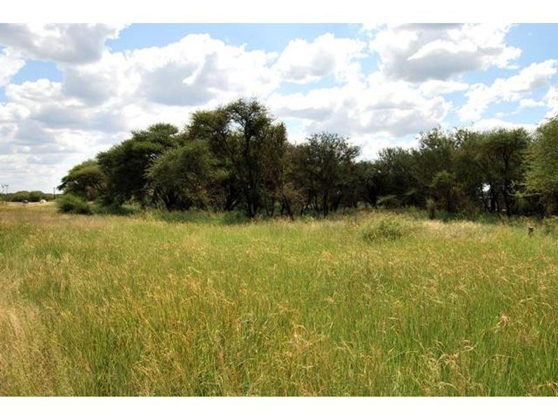 A view of the vacant residential land featuring natural grass cover and established indigenous trees.