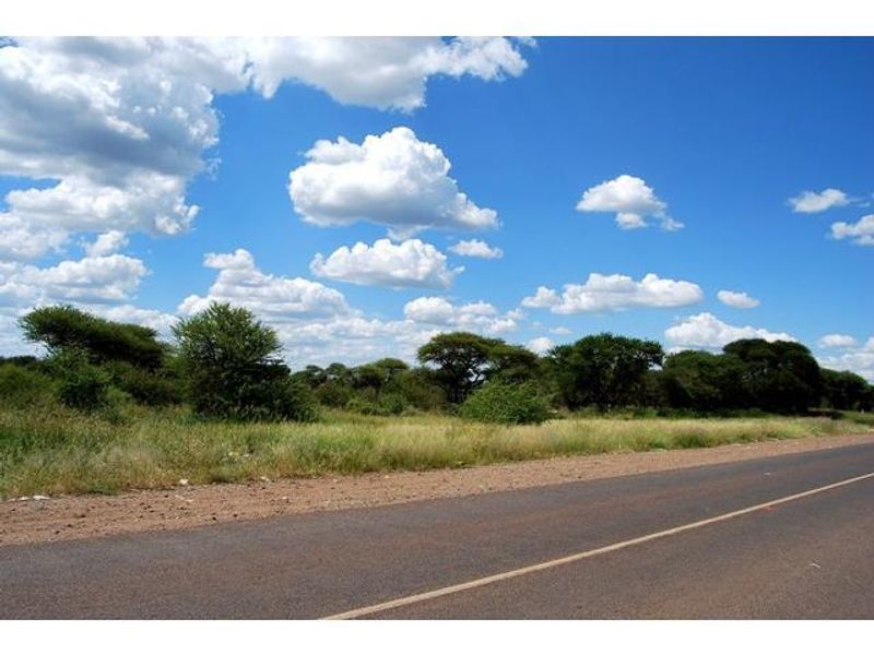 A view of the vacant residential land from the adjacent asphalt road, featuring natural vegetation and native trees.