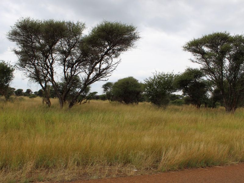 Vacant Land Residential For Sale In Northam - Photo 2