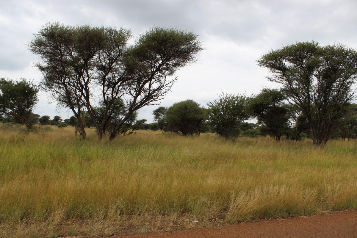 Vacant Land Residential For Sale In Northam - Photo 2