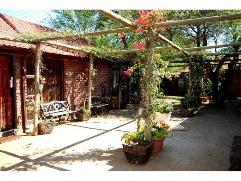 A charming outdoor patio area featuring a rustic timber pergola, brick wall construction, and paved flooring, perfect for relaxed farm-style living.