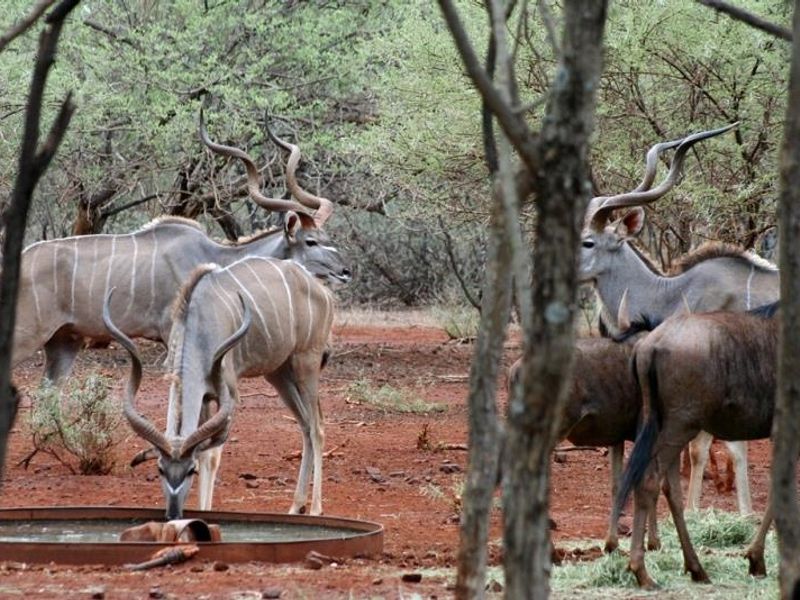 Vacant Land Residential For Sale In Northam - Photo 2