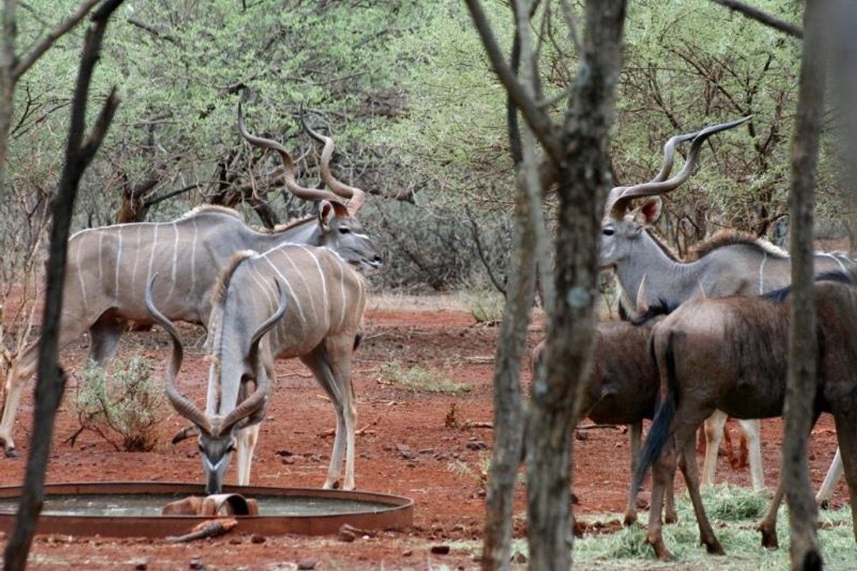 Vacant Land Residential For Sale In Northam - Photo 2