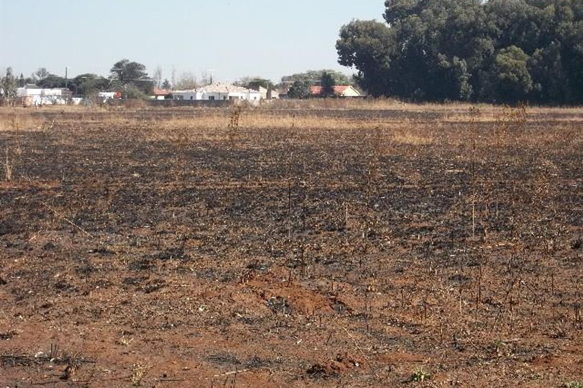 A view of a vacant residential plot showing signs of recent fire damage to the ground cover and surrounding vegetation.