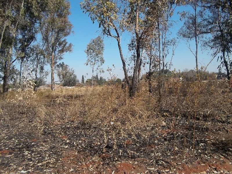 A vacant residential plot featuring mature trees and dry, overgrown vegetation with visible signs of recent fire damage on the ground.