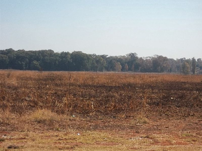 A wide-angle view of a vacant residential plot featuring dry grass and natural vegetation with a tree line in the background.