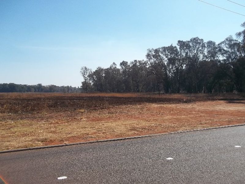 A view of a vacant residential plot of land from the adjacent asphalt road, featuring natural vegetation and mature trees in the background.