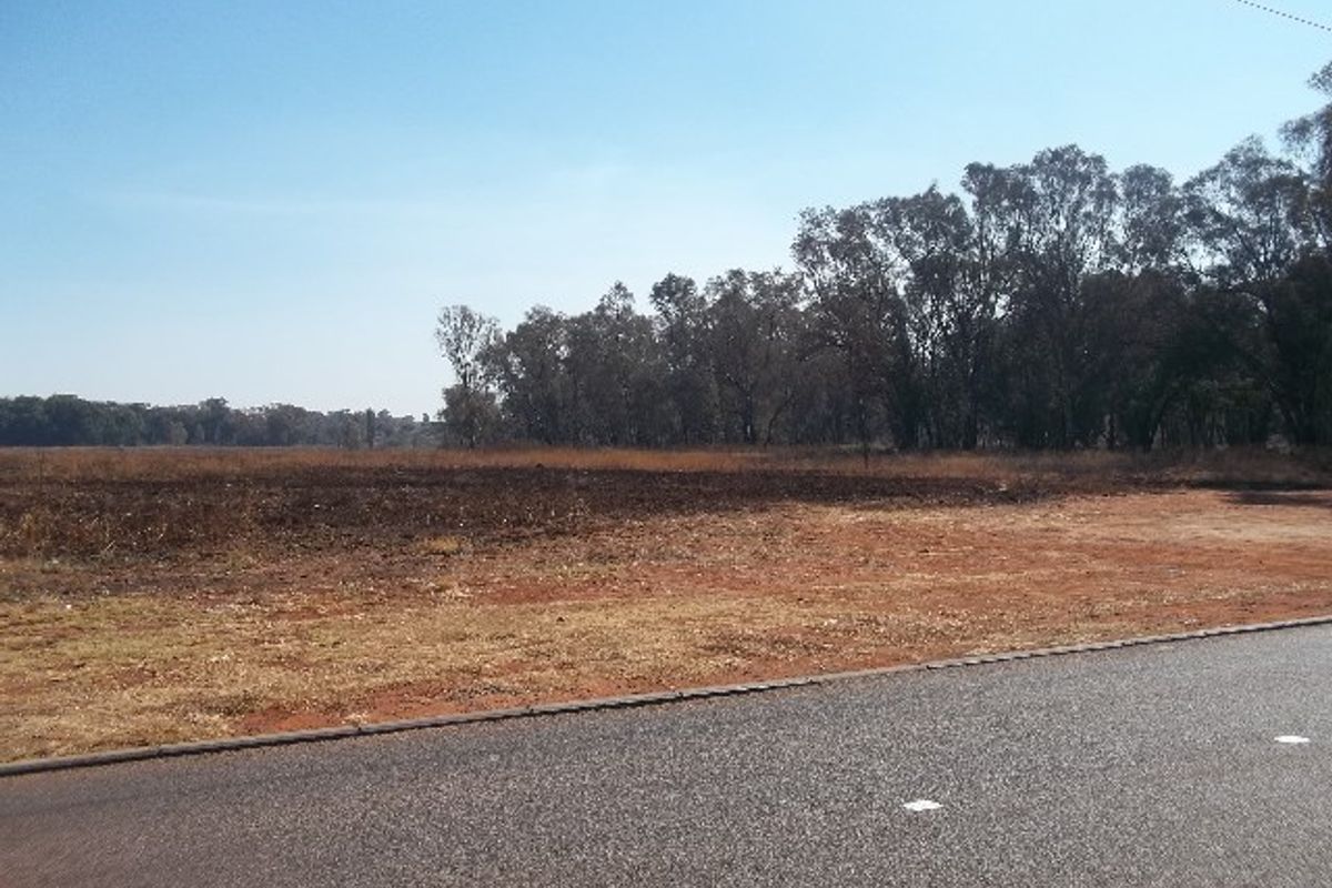 A view of a vacant residential plot of land from the adjacent asphalt road, featuring natural vegetation and mature trees in the background.