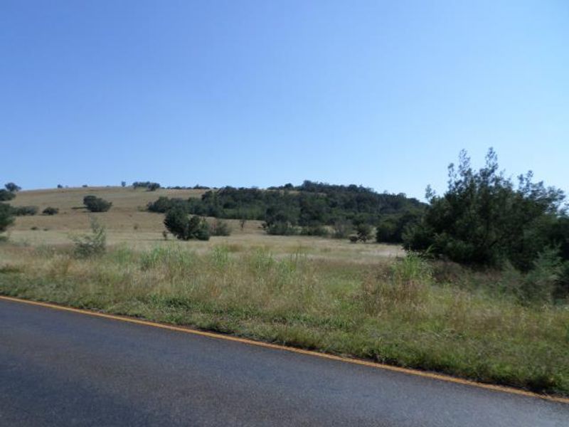 A view of the vacant residential land from the adjacent road, showcasing the natural landscape and topography of the property.