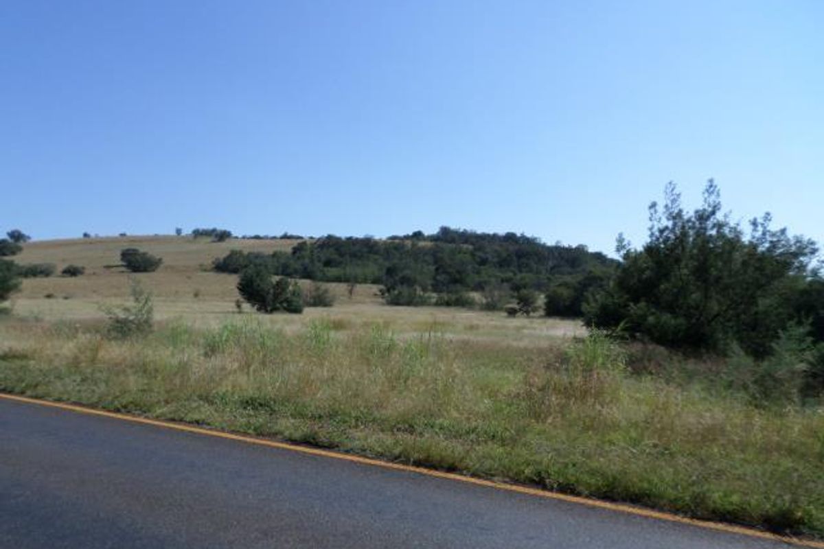 A view of the vacant residential land from the adjacent road, showcasing the natural landscape and topography of the property.