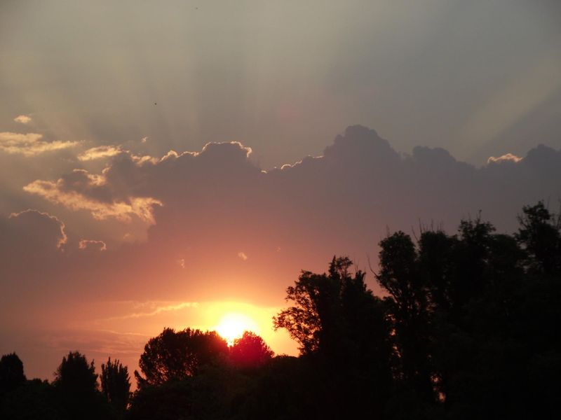 Much needed one of a kind Residential Development in Meyerton, - Photo 10