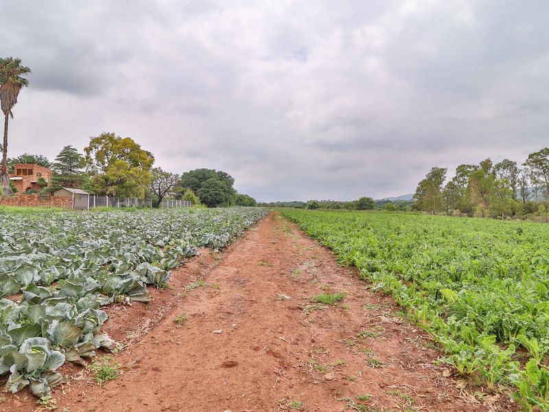 Expansive agricultural small holding featuring cultivated vegetable fields and a central dirt access path, bordered by mature trees and perimeter fencing.