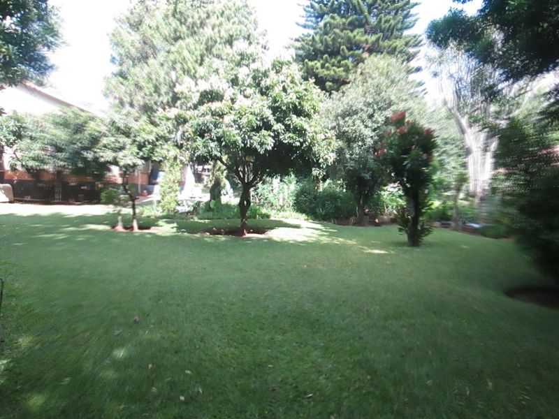 A well-maintained, lush green garden featuring mature trees and established landscaping, providing a private and serene outdoor space.
