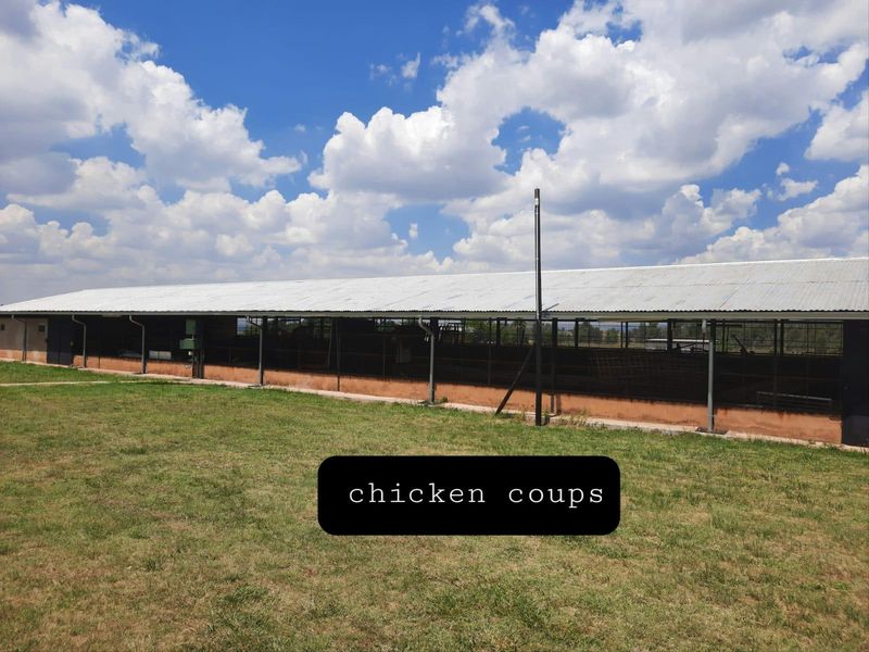 Large agricultural utility structure featuring a corrugated metal roof, steel support columns, and wire mesh fencing, suitable for livestock or storage purposes.