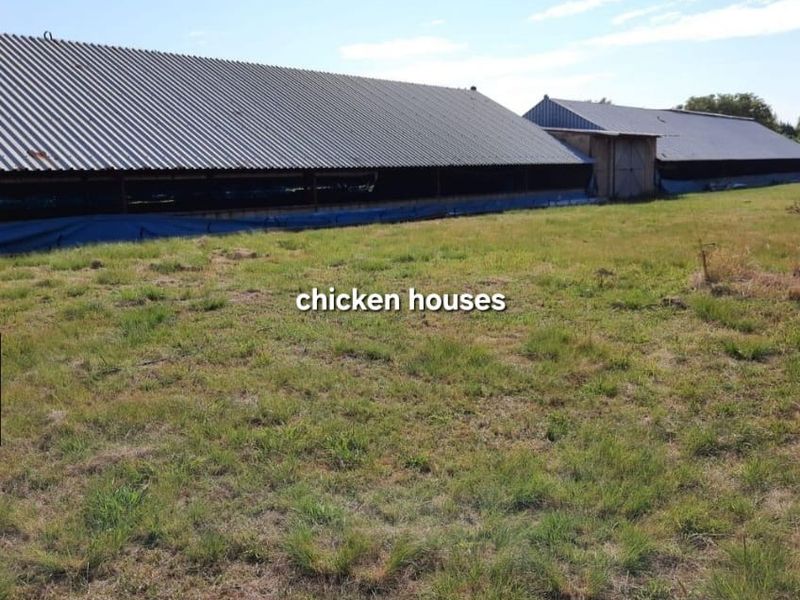 View of large agricultural chicken house structures situated on a rural farm property.