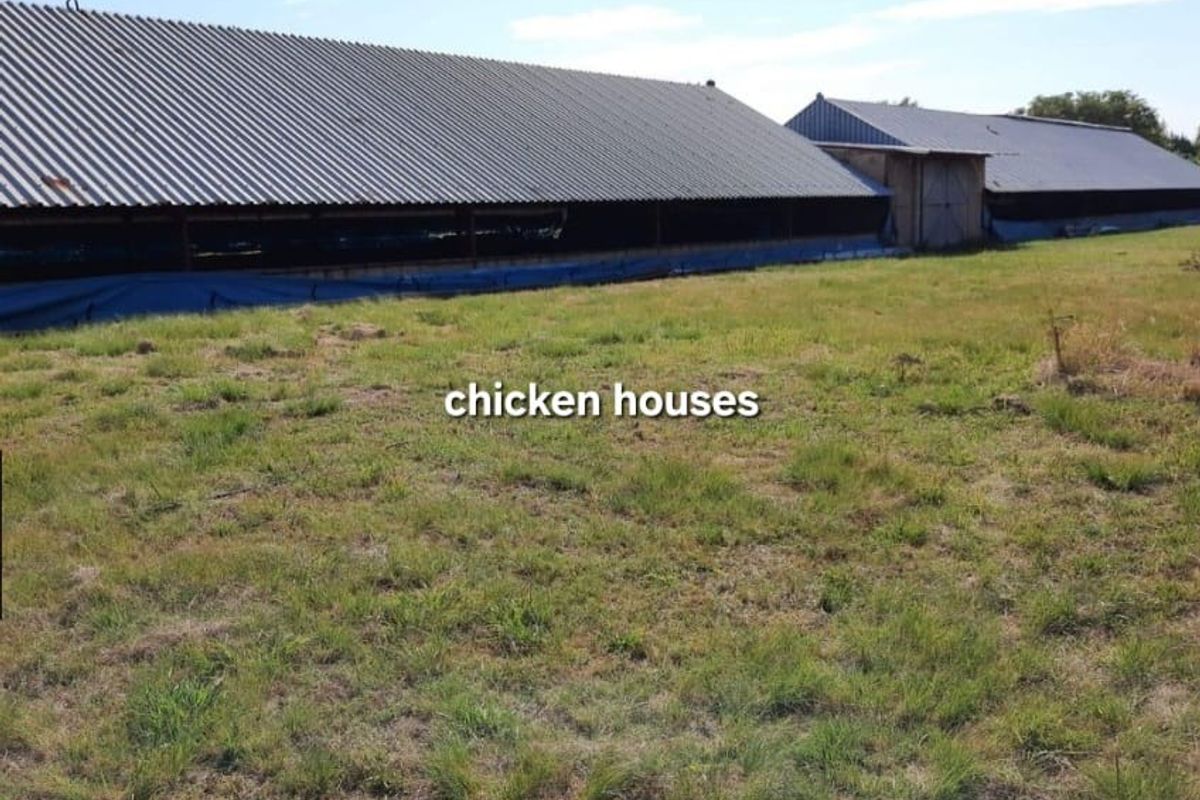 View of large agricultural chicken house structures situated on a rural farm property.