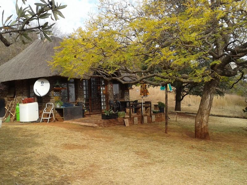 A rustic farm-style cottage featuring a traditional thatch roof and an attached patio area set within a natural, tree-lined landscape.
