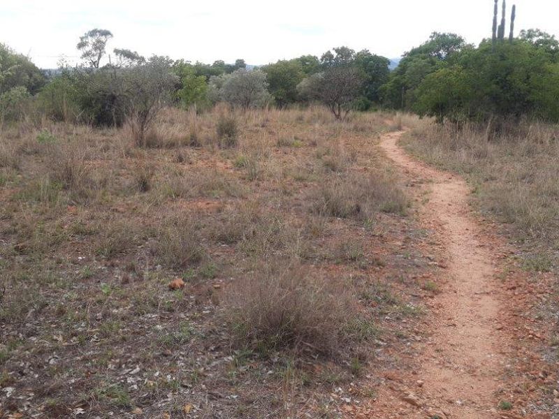 An undeveloped natural landscape area featuring indigenous vegetation and a dirt walking path on a small holding property.