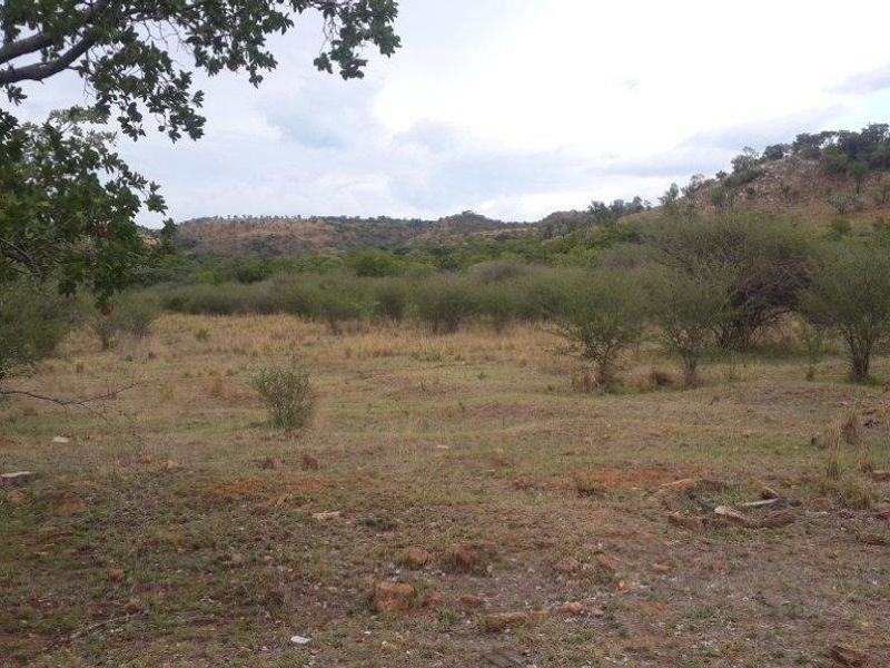 A scenic view of the natural landscape featuring indigenous trees and rocky terrain on the small holding.
