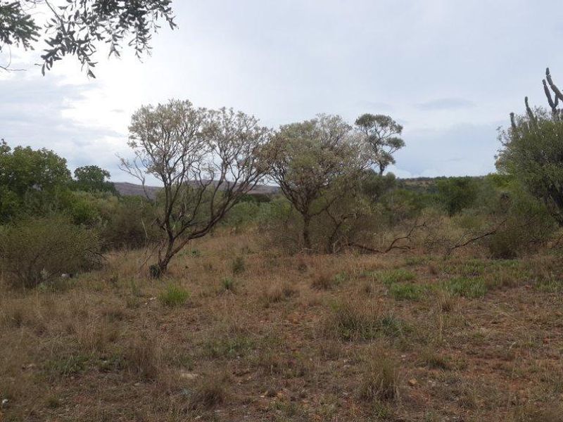 A view of the natural landscape and indigenous vegetation on the small holding property.