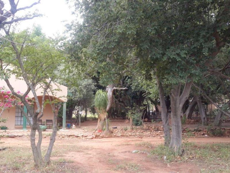 A view of the rear exterior of the property featuring a covered patio area surrounded by mature trees and natural landscaping.