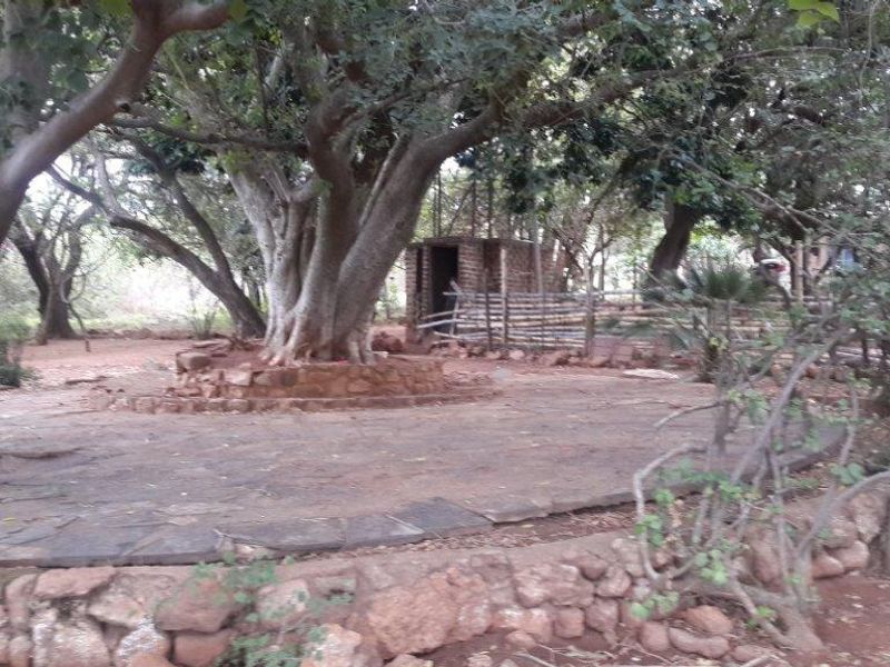 A rustic garden area featuring a stone-retained patio base surrounded by mature trees and natural landscaping.