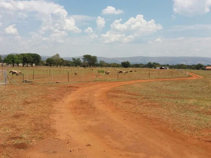 Expansive view of the small holding property featuring open grazing land, wire fencing, and a dirt access road under a clear sky.