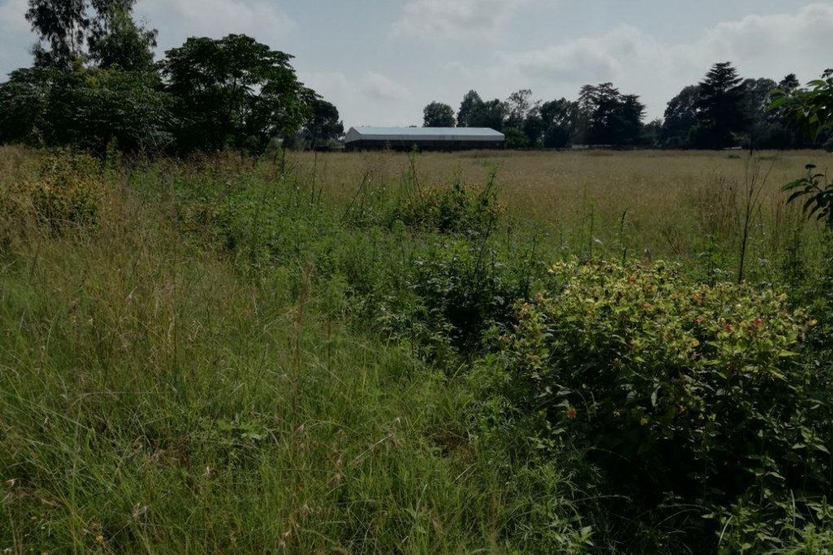 Vacant Land Residential For Sale In Rustenburg - Photo 3