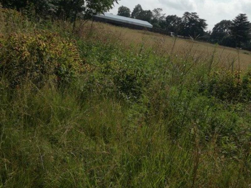 Vacant Land Residential For Sale In Rustenburg - Photo 2