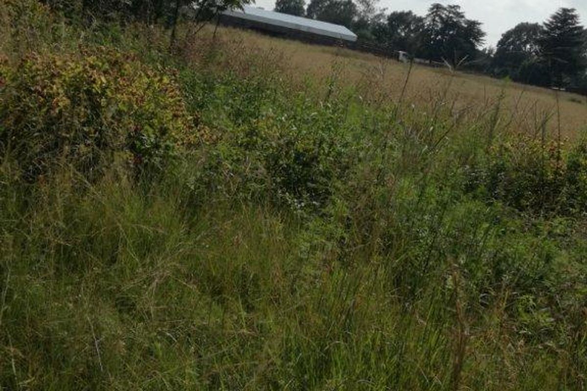 Vacant Land Residential For Sale In Rustenburg - Photo 2