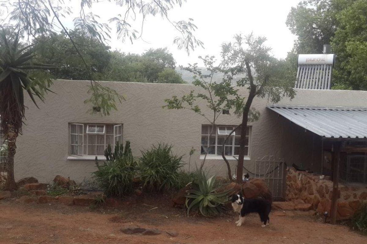 Rear exterior view of the property featuring a textured facade, steel-framed windows, and a roof-mounted solar water heating system.