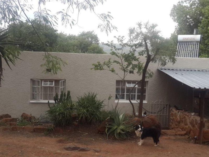 Rear exterior view of the property featuring a textured facade, steel-framed windows, and a roof-mounted solar water heating system.