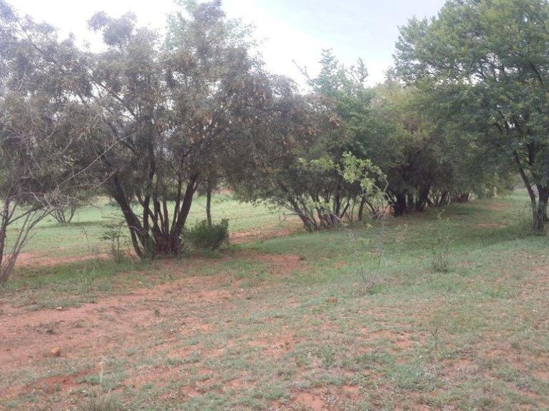 A view of the natural garden area featuring established trees and open grass space on the small holding.
