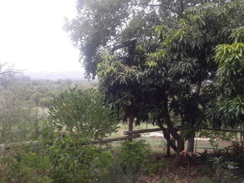 A scenic view overlooking the surrounding landscape and natural vegetation on the small holding property.