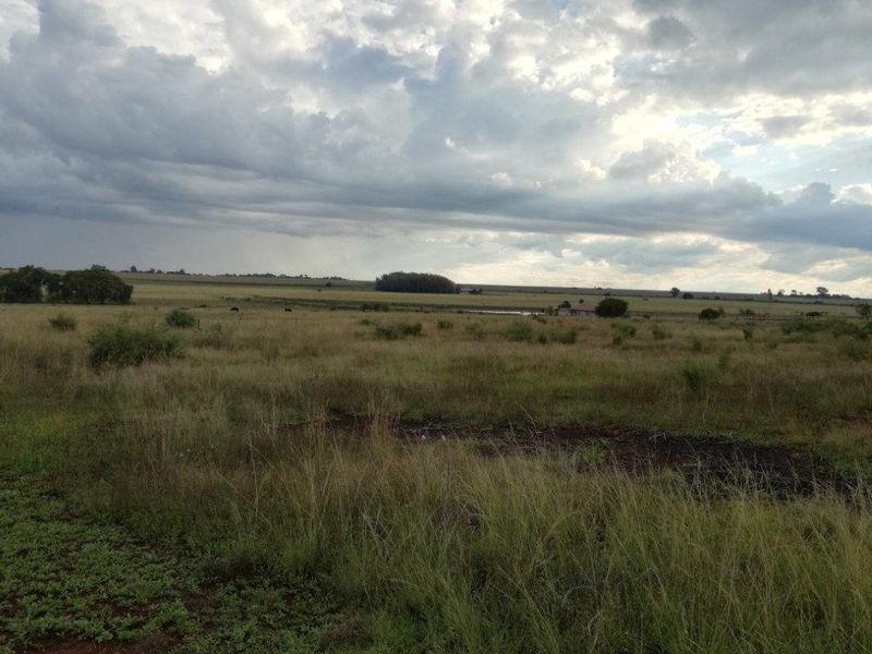 Vacant Land Residential For Sale In Rustenburg - Photo 4