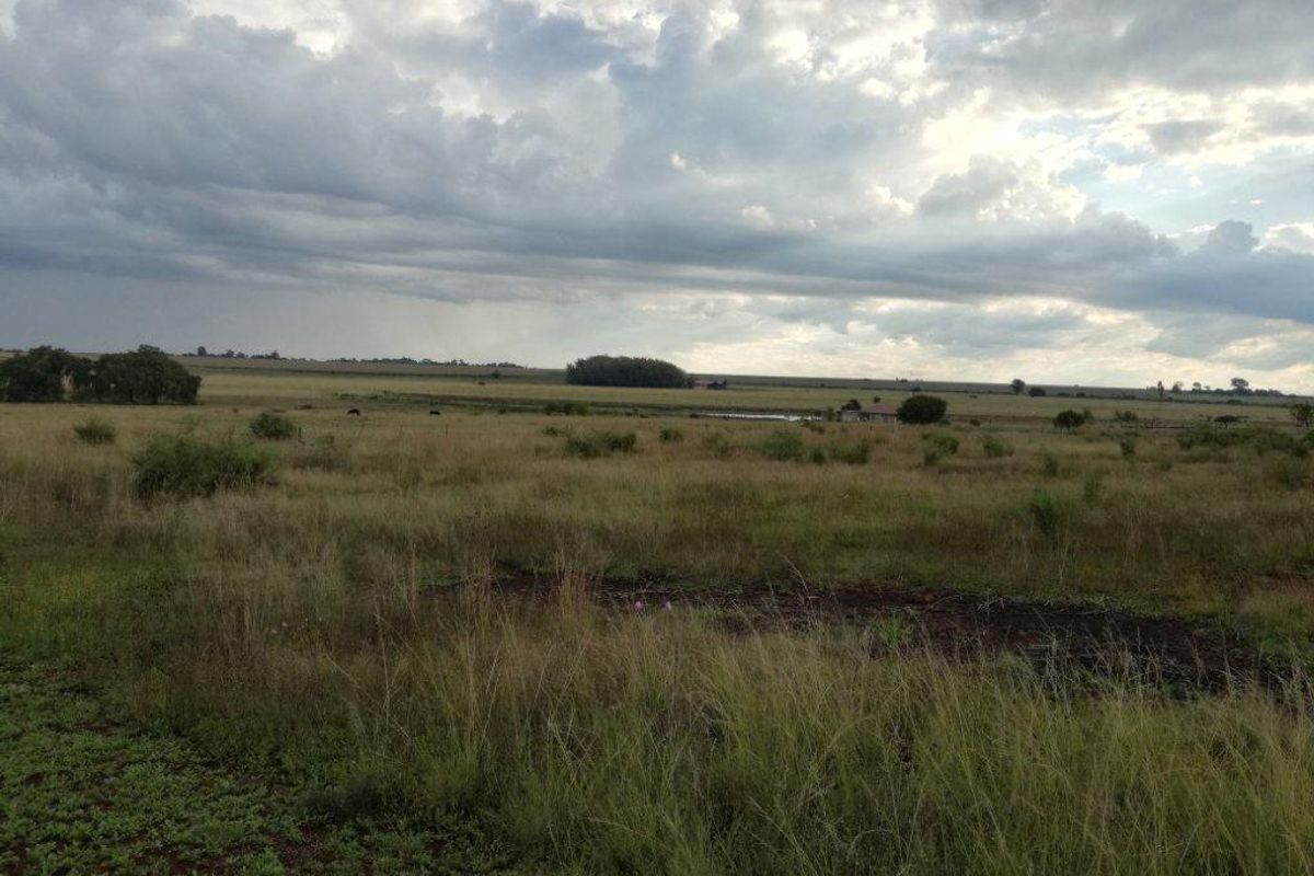 Vacant Land Residential For Sale In Rustenburg - Photo 4
