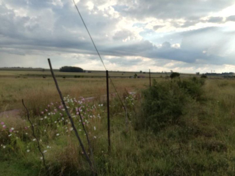 Vacant Land Residential For Sale In Rustenburg - Photo 6
