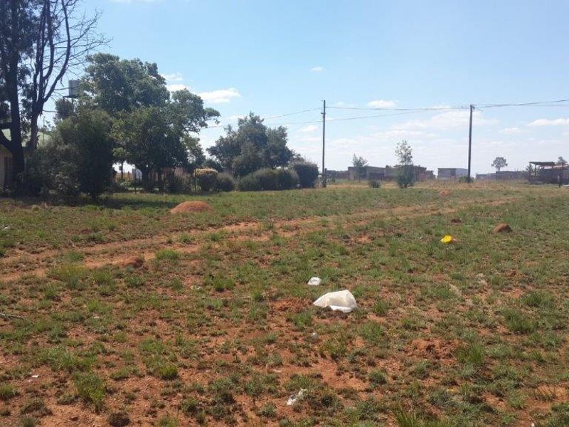 A view of a vacant residential plot featuring natural grass cover, mature trees, and overhead utility lines.