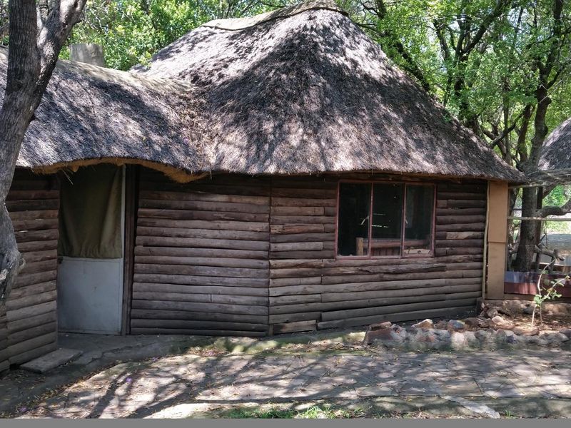Exterior view of a rustic log cabin featuring a traditional thatch roof and stone paved patio area set within a wooded garden environment.
