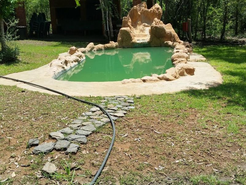 Outdoor pool area featuring a rock-style swimming pool and a covered patio structure set within a natural, wooded garden environment.