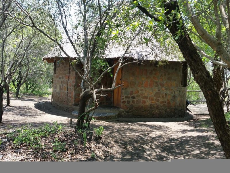 A rustic stone-walled cottage with a traditional thatched roof, situated in a natural, wooded farm setting.
