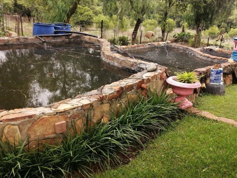 A rustic, stone-clad raised water feature or pond area situated within a garden setting, featuring perimeter fencing and natural landscaping.