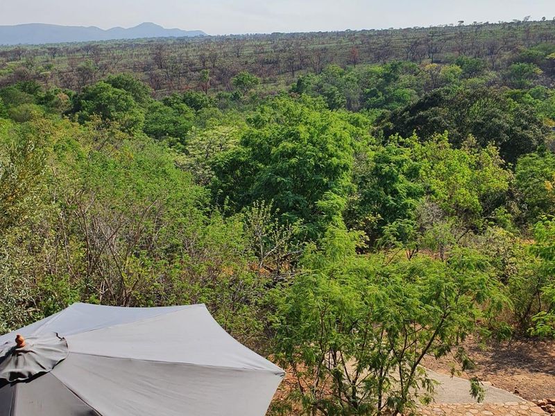 Elevated view overlooking a lush natural landscape, framed by a rustic thatched roof structure and timber balcony railing.